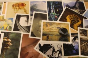 Collage 600 px Collage 600 px